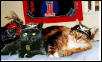 Meesha & Gonzo