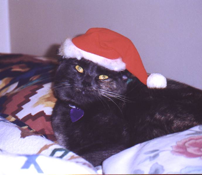 Meesha as the Grinch