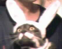 Happy Easter