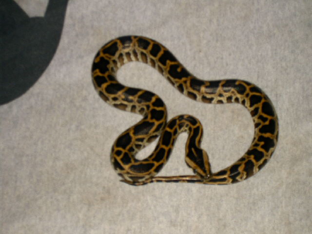 another picture of the little girl