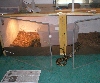 large view of cage