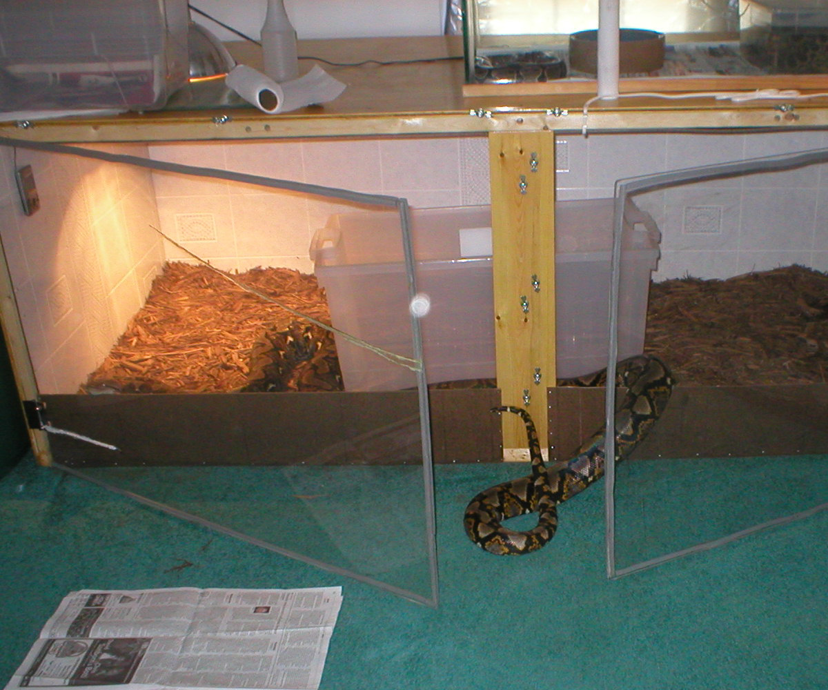 large view of cage