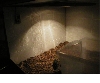 humidity guage