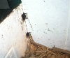 corner of cage with holes for door bolts