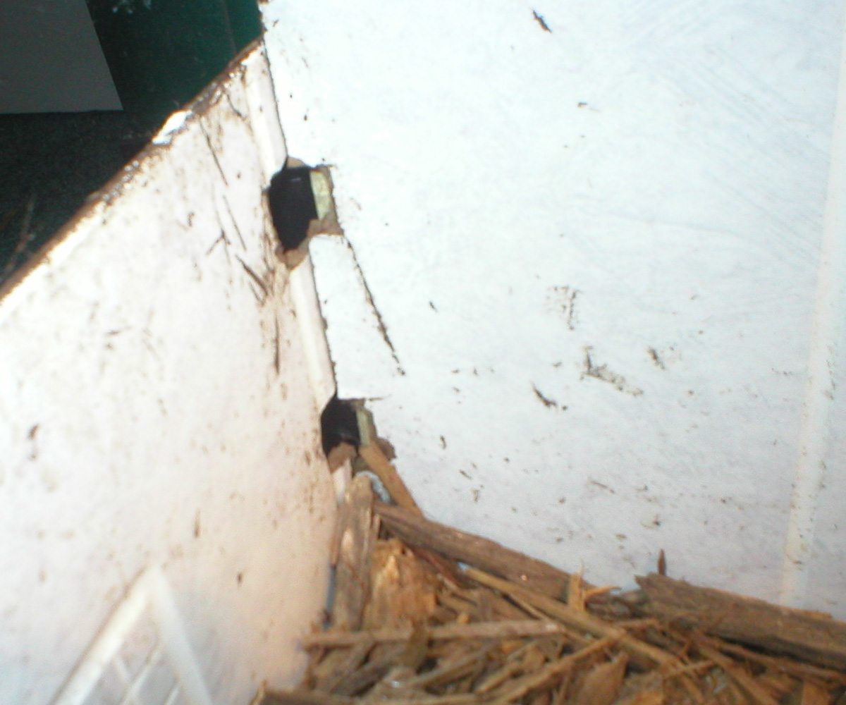 corner of cage with holes for door bolts