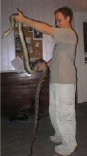 retic