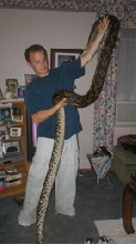 retic bigger