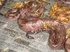 blood boa 2010