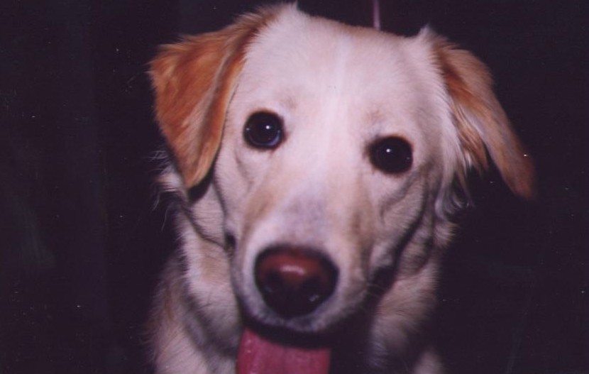 This is my maxine at 1 years old!