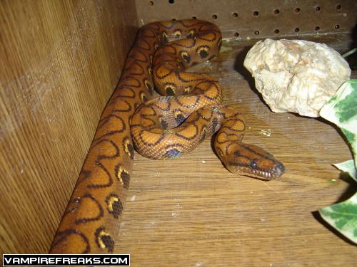 this is my brb