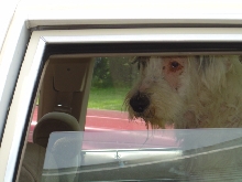 R.I.P. We will miss you Skippy