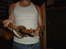 this is one more of my brb