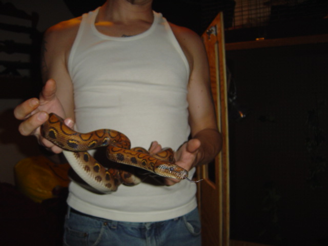 this is one more of my brb