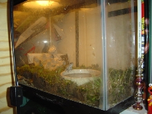 one more of my cages
