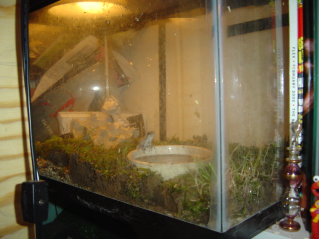 one more of my cages