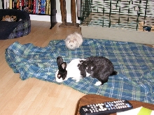 Maggie and Stuart