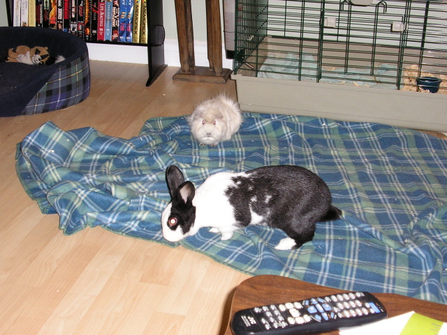 Maggie and Stuart