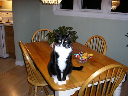 Oreo