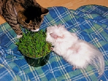 Sidney and Stuart Again