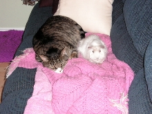 Sidney and Stuart