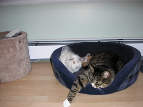 Stuart and Sidney