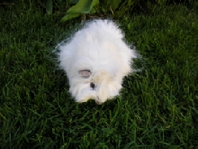 Stuart Outside