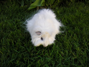 Stuart Outside