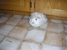 Stuart - September 2005