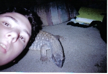 Me and Ramoth, my Savannah Monitor