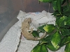 2-3 month