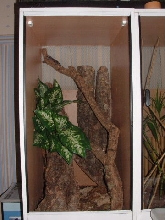 sikorae set-up