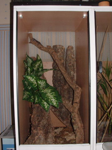 sikorae set-up