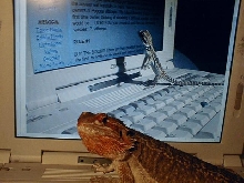 Was that really me, Momma?