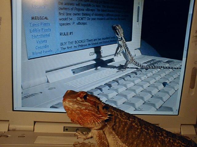 Was that really me, Momma?