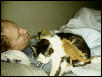 Naptime for some of Cheri's Menagerie