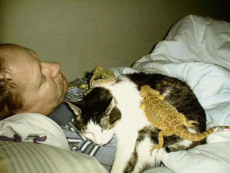 Naptime for some of Cheri's Menagerie