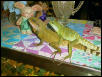 Epimetheus and Pandora, Chinese Water Dragons