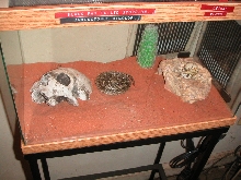 habitat