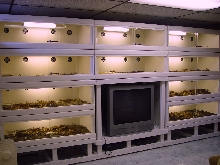 My CageCrafters (complete)