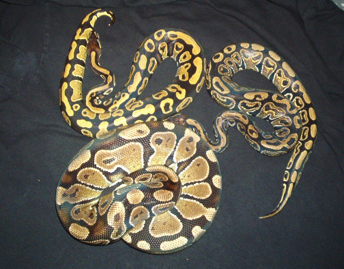 group