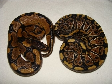 granite compare