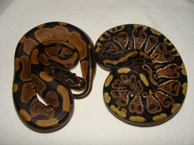 granite compare