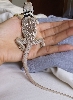 Annabella after shedding