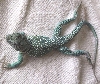 Ezra after shedding