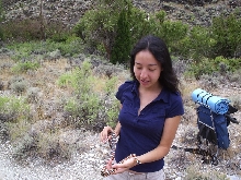 Kingsnake in Snake Mtn. Range