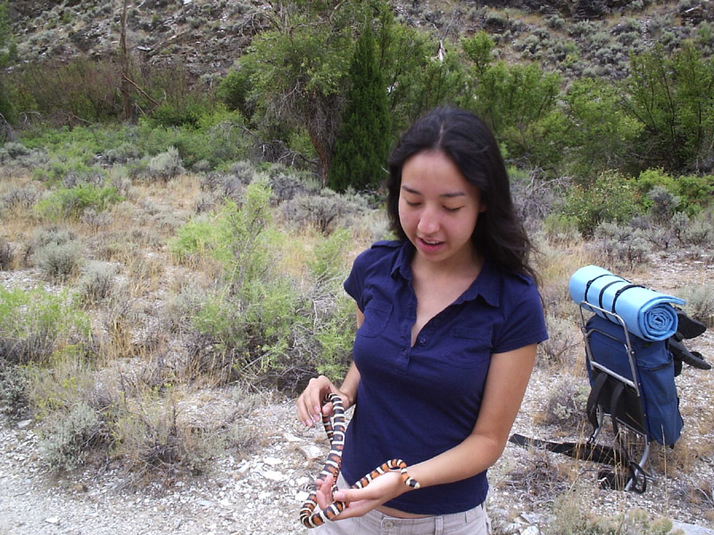 Kingsnake in Snake Mtn. Range