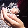 holding the wild lizard