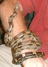 pic2