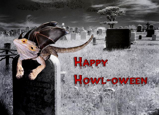 Happy Holloween