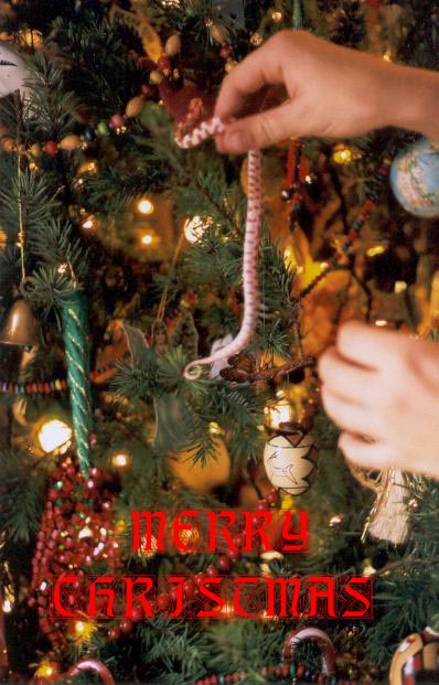 Merry Christmas!